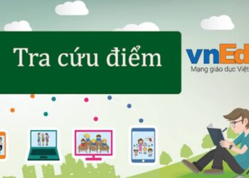 VnEdu tra cứu điểm - Cách theo dõi kết quả học tập mọi cấp lớp dễ dàng